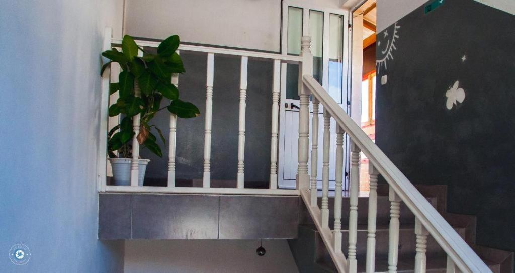 Kolina D'Sol Bed & Breakfast Понта до Сол Екстериор снимка